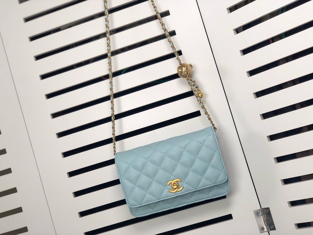 Designer bags by Chanel 076