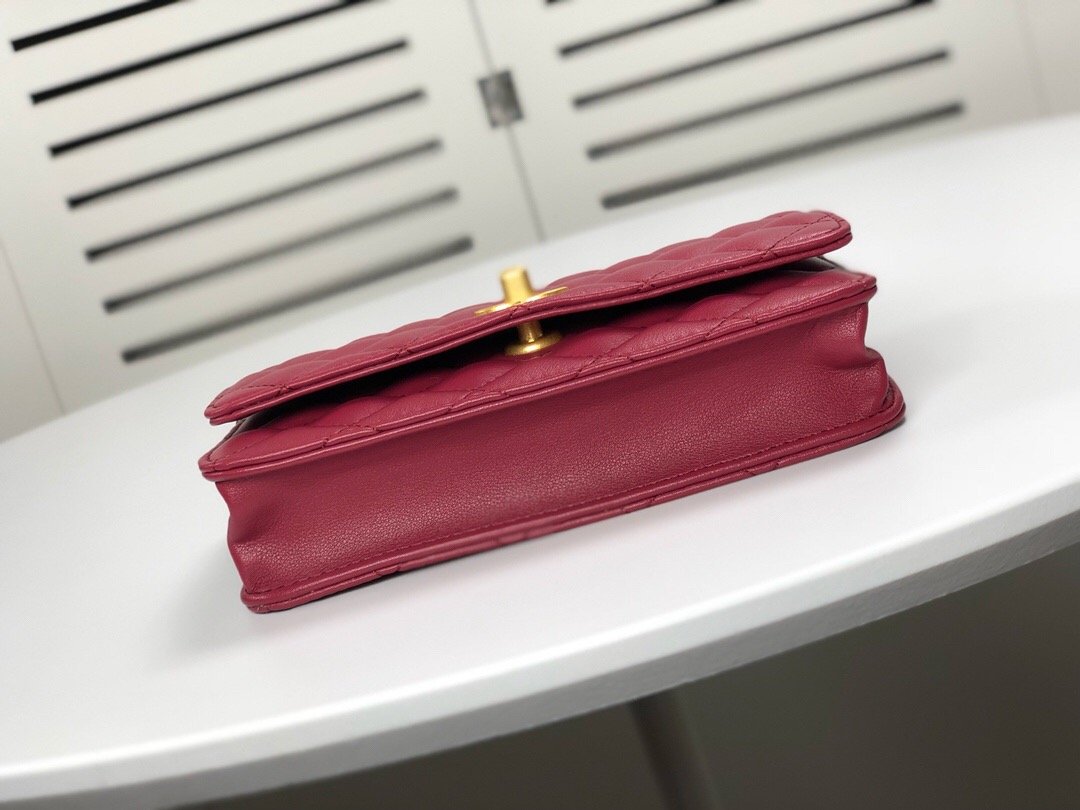 Designer bags by Chanel 079