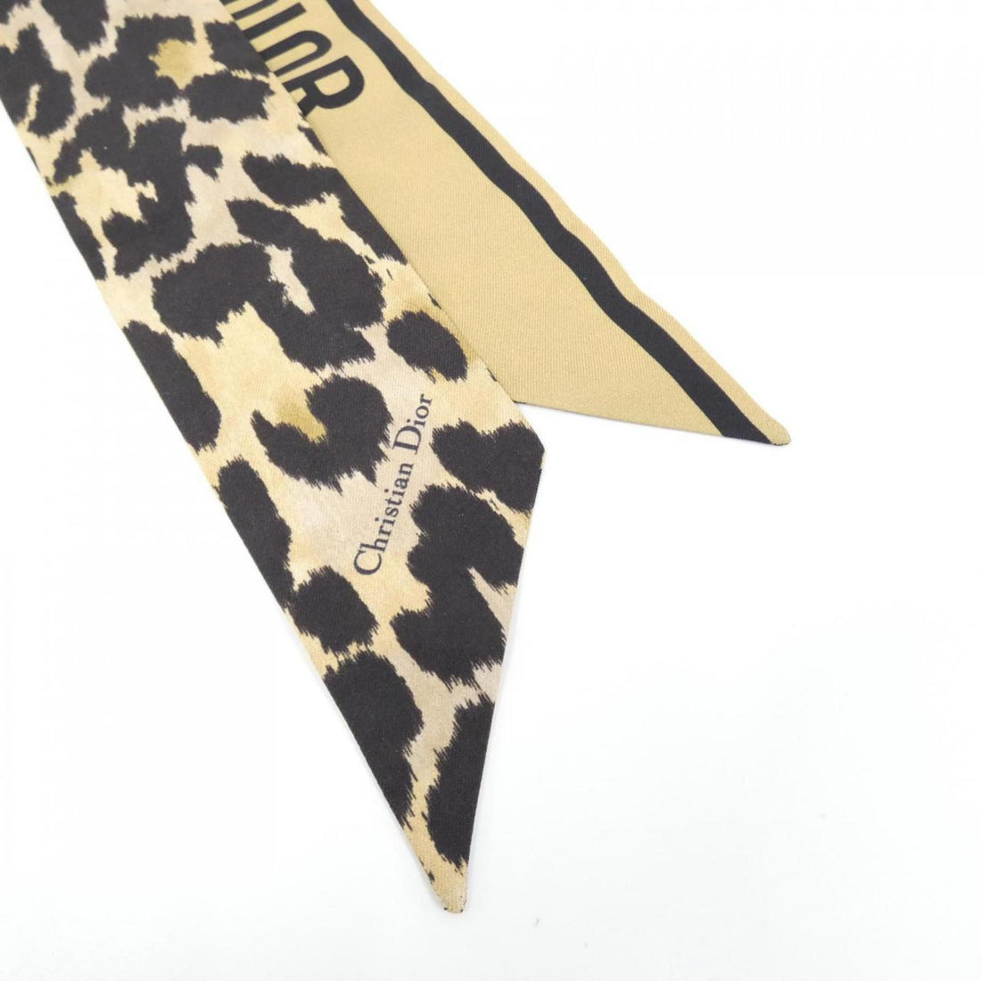 Christian Dior 14LEO106I611 Scarf