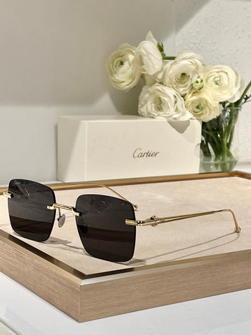 VS - CRA Glasses - 014