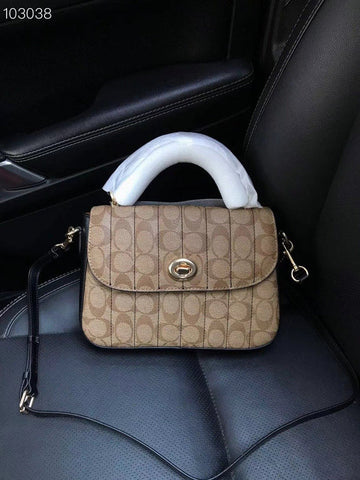 VS - CAH Bags - 585
