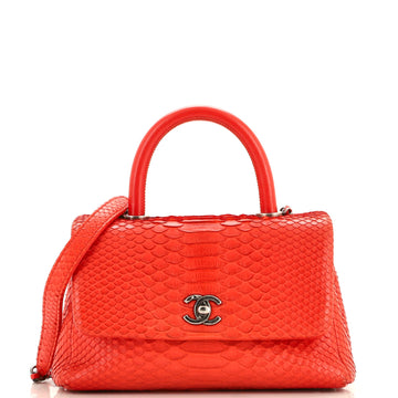 Coco Top Handle Bag Python Mini