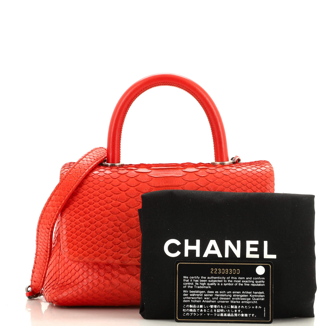Coco Top Handle Bag Python Mini