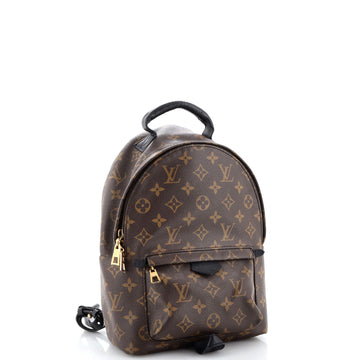 Louis Vuitton Palm Springs Backpack Monogram Canvas PM