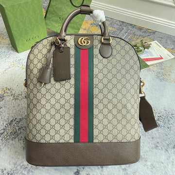 Gucci Luxury Fashion Bag