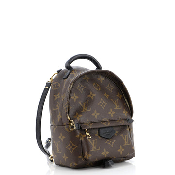 Louis Vuitton Palm Springs Backpack Monogram Canvas Mini