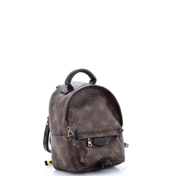 Louis Vuitton Palm Springs Backpack Monogram Canvas Mini