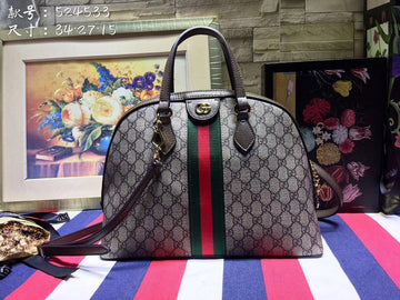 GCC - VS Fashion Bags - 675