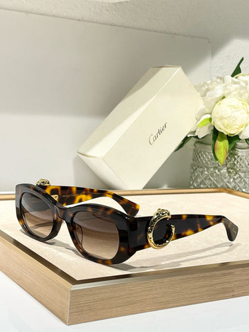 VS - CRA Glasses - 039