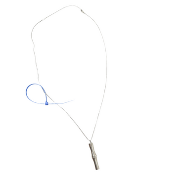 Necklace Luxury Designer By Gucci, Size: Large