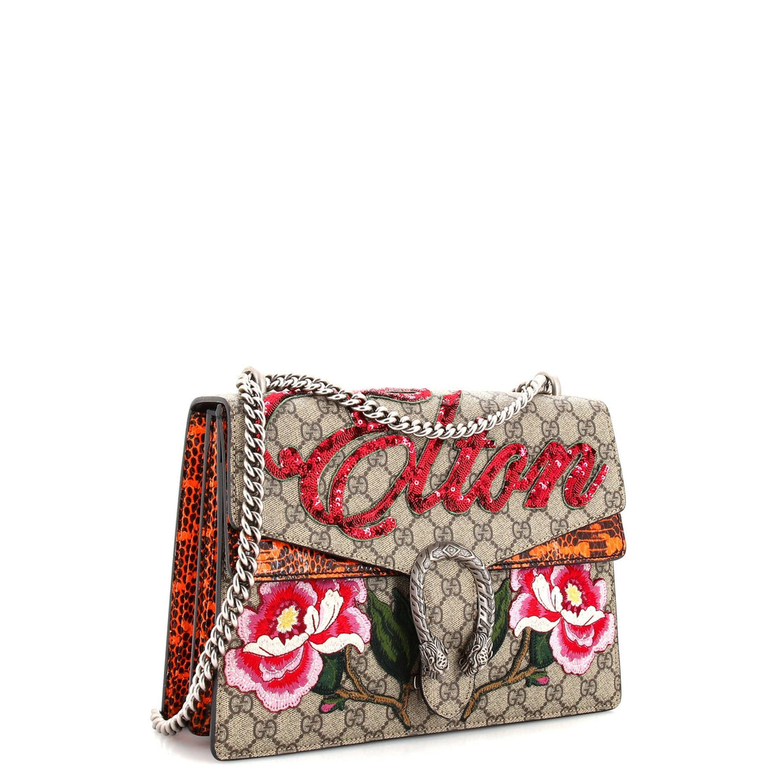 Dionysus Bag Embroidered VS Coated Canvas with Python Medium