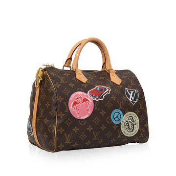 Louis Vuitton Speedy 30 Bandoulière - My World Tour