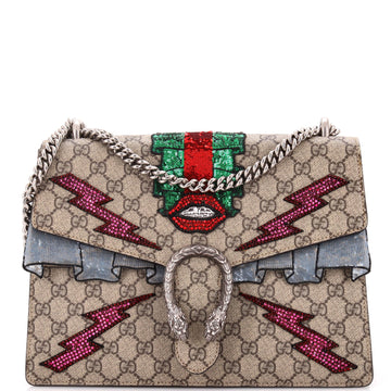 Dionysus Bag Embellished VS Coated Canvas Medium