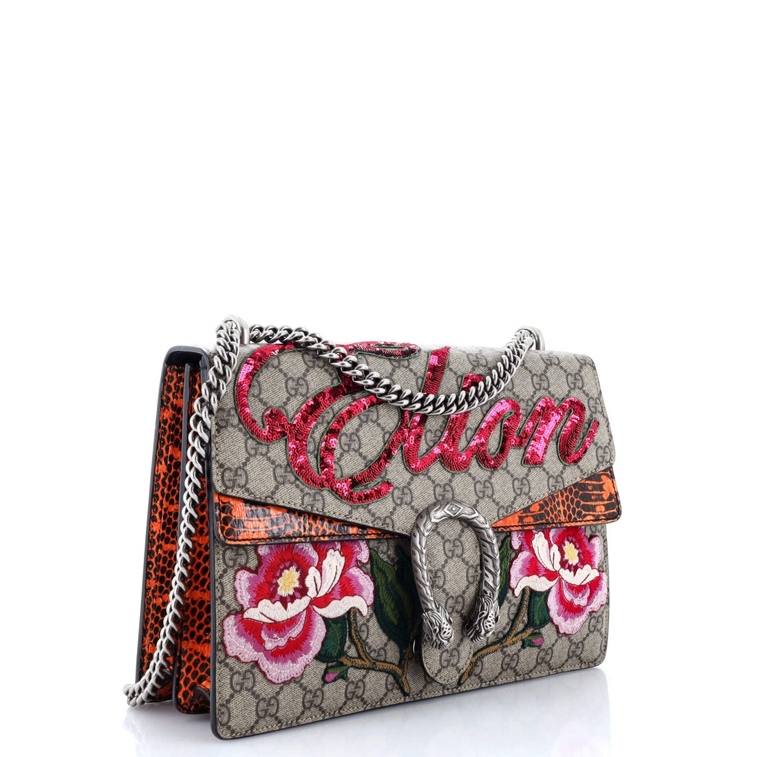 Dionysus Bag Embroidered VS Coated Canvas with Python Medium
