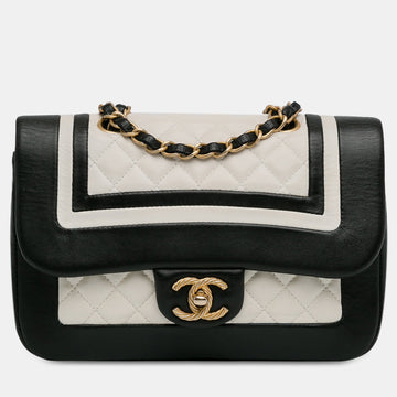 Small Bicolor Lambskin Paris Cosmopolite Flap
