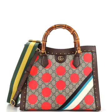 Diana NM Bamboo Handle Tote Printed VS Coated Canvas and Studded Leather Medium