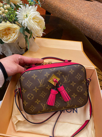 LOV2 Bags - Luxurious Bags  1052