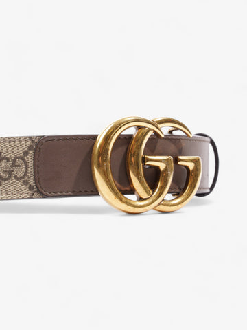 Gucci CS Marmont Thin Belt CS Supreme / Brown Leather 75cm / 30"