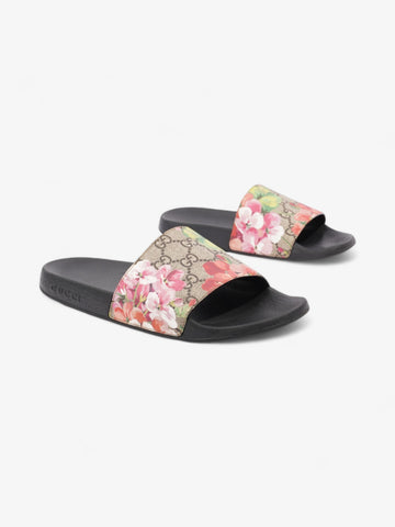 Gucci CS Blooms Supreme slides Beige / Floral Canvas EU 39 UK 6