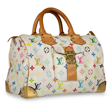 Louis Vuitton Multicolore Speedy