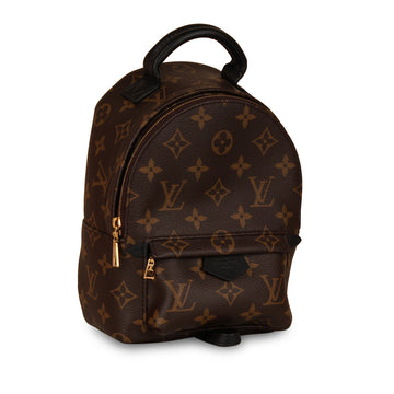 Louis Vuitton Palm Springs Backpack - Mini