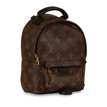Louis Vuitton Palm Springs Backpack - Mini