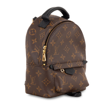 Louis Vuitton Palm Springs Backpack - Mini