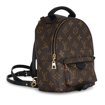 Louis Vuitton Palm Springs Backpack - Mini