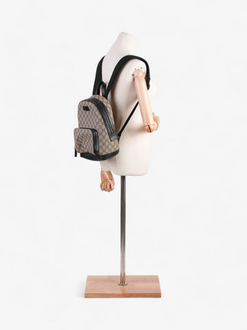 Gucci Eden Day Backpack CS Supreme / Black Coated Canvas Small