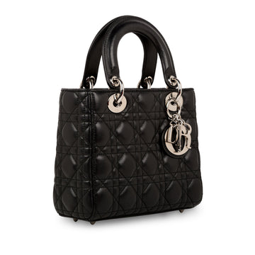 Christian Dior Lady Dior - My ABCDior