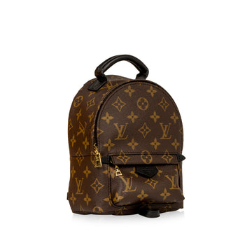 Louis Vuitton Palm Springs Backpack - Mini