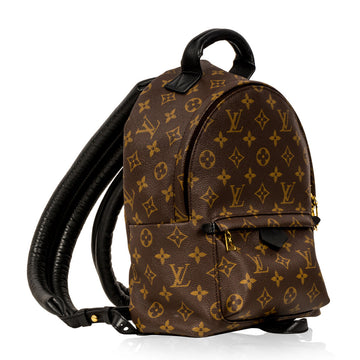 Louis Vuitton Palm Springs Backpack PM