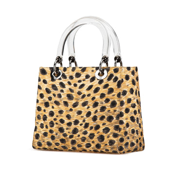 Dior Medium Canvas Leopard Print Lady Dior