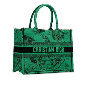 Dior Medium Embroidered Canvas Book Tote