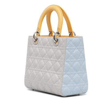 Dior Medium Tricolor Lambskin Cannage Lady Dior