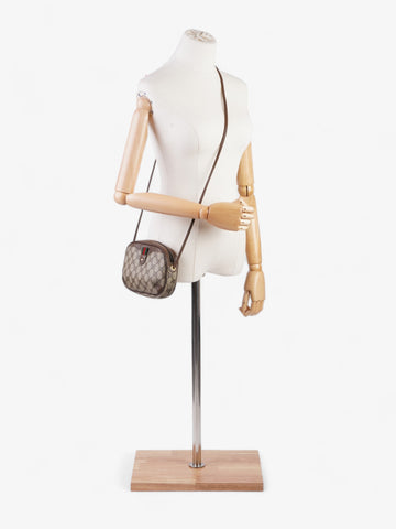 Gucci Web Sherry Line Beige And Ebony CS Supreme / Brown Coated Canvas