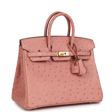 Hermes Birkin 25 Terre Cuite Ostrich Gold Hardware