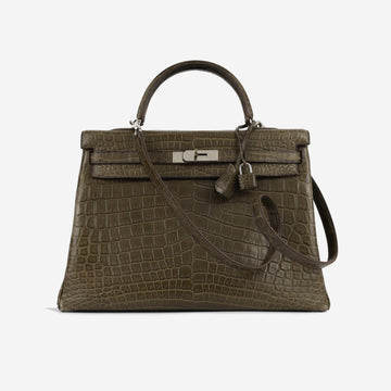 Kelly 35 - Oregano Crocodile Niloticus