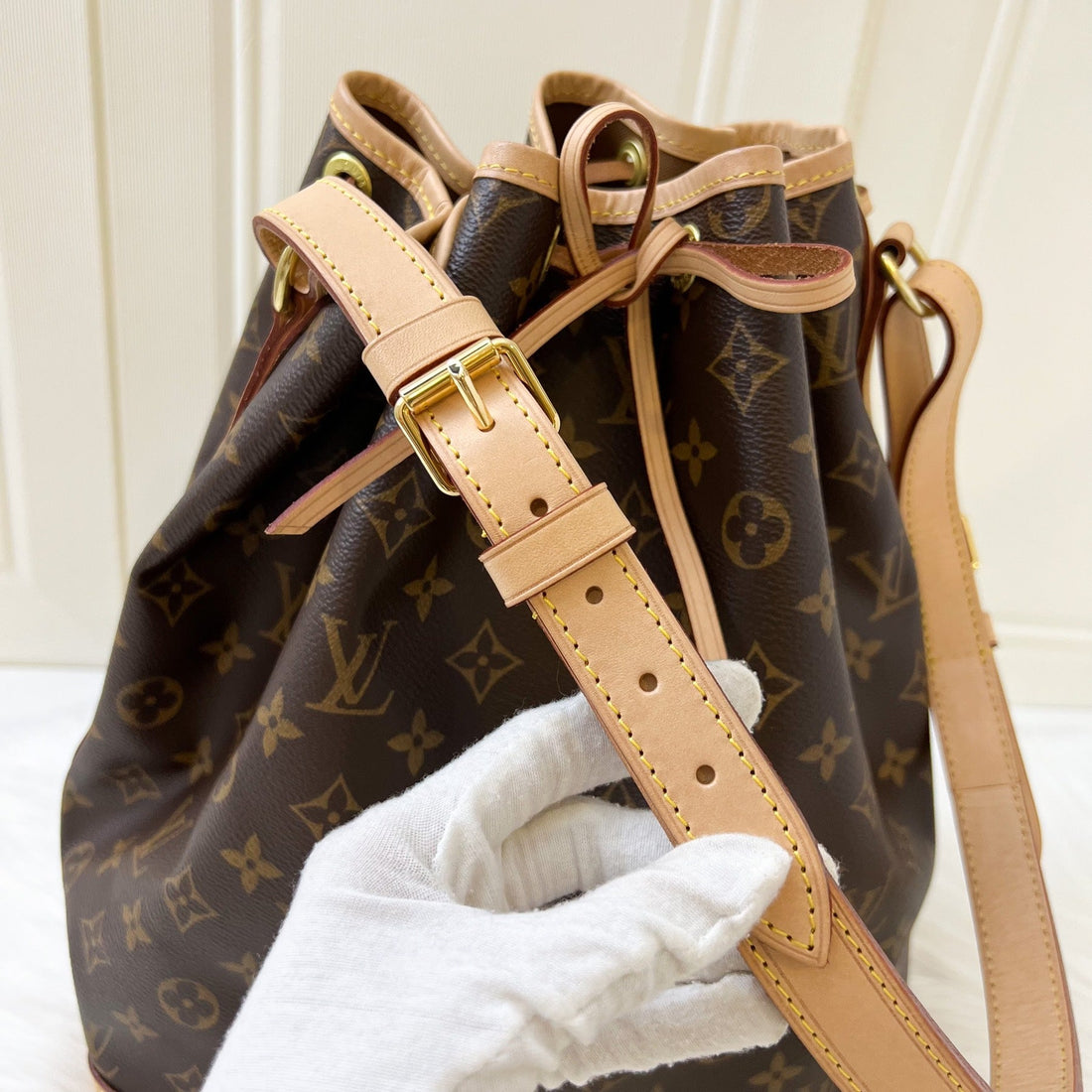 LV Noe Bucket Bag in Monogram Canvas and GHW