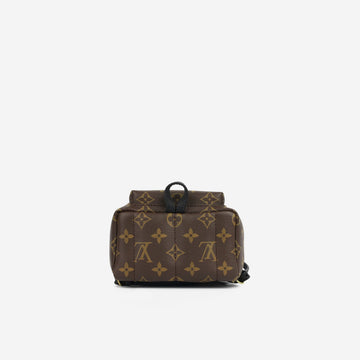 Louis Vuitton Mini Palm Springs Backpack