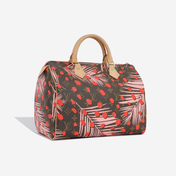 Louis Vuitton Speedy 30 - Jungle