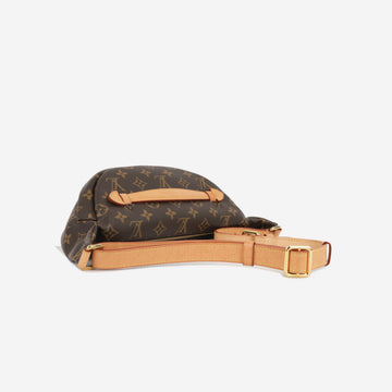 Louis Vuitton Bumbag - Monogram Canvas