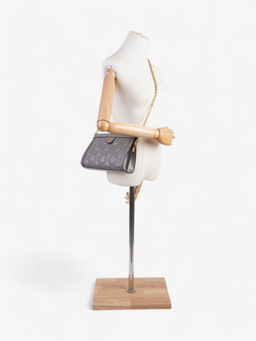 Gucci Ophidia CS CS Supreme / Grey Matelasse Leather Small