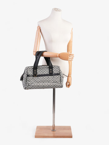 Louis Vuitton Josephine Monogram Mini Lin Cotton GM