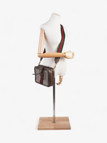 Gucci Ophelia CS Supreme / Brown Coated Canvas Small