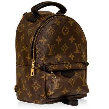 Louis Vuitton Palm Springs Backpack - Mini