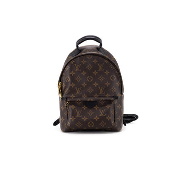 Louis Vuitton Palm Spring PM