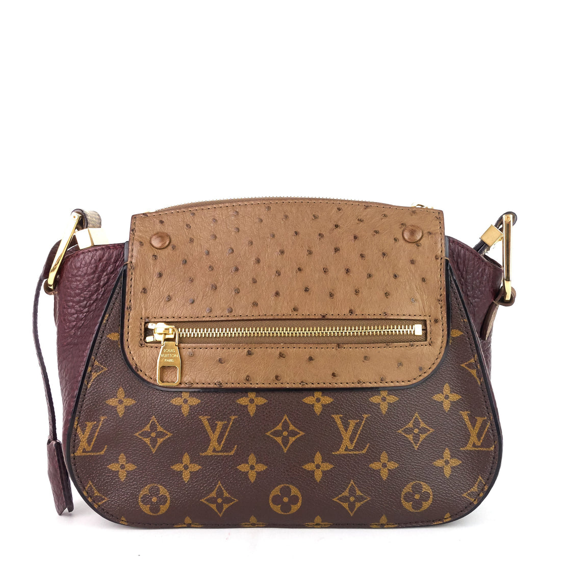 Louis Vuitto Exotique Majestueux Bordeaux Shoulder Bag