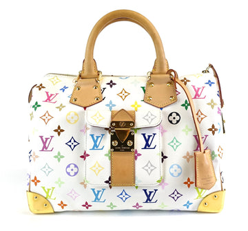 Louis Vuitto Speedy 30 Multicolore Canvas Handbag