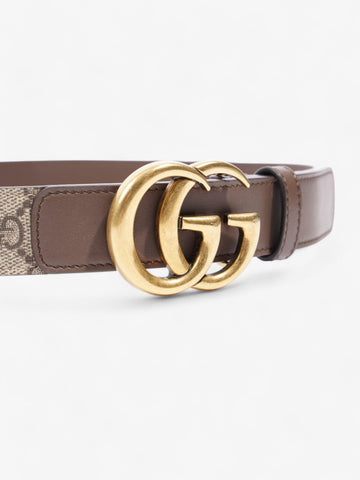 Gucci CS Marmont Belt Gold / CS Supreme Canvas 80cm / 32"